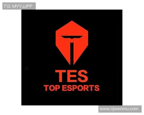 CSGO战术解析：TES战队如何构建高效控制体系与团队协作策略