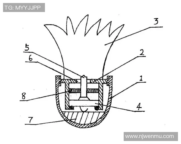 广州羽毛球队防反体系解析：羽毛球战术的创新与应用探讨