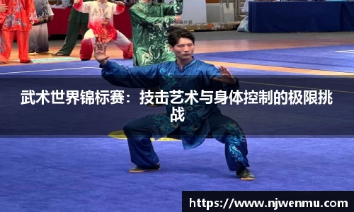 武术世界锦标赛：技击艺术与身体控制的极限挑战